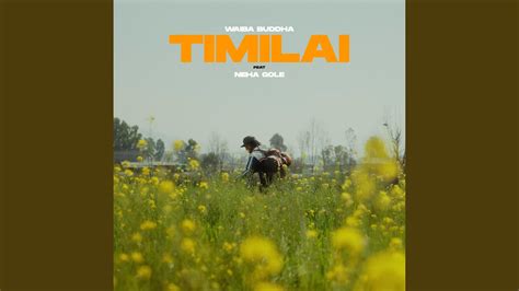 Timilai Youtube