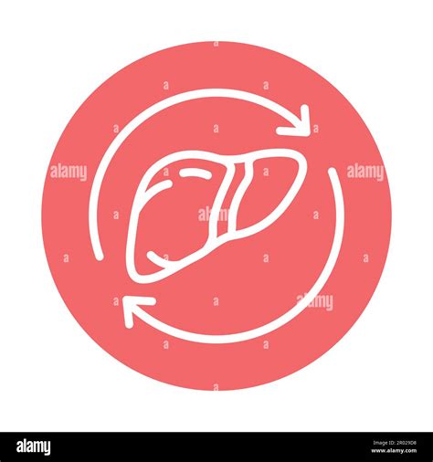 Liver Transplant Color Line Icon Isolated Vector Element Outline