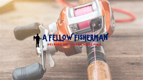 Best Baitcasting Reel Updated In A Fellow Fisherman