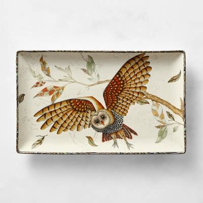 Owl Rectangular Serving Platters Williams Sonoma