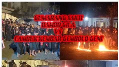 Gumarang Sakti‼️‼️ Bambo Gila Vs Cambuk Kembar Gembolo Geni Sebaluh