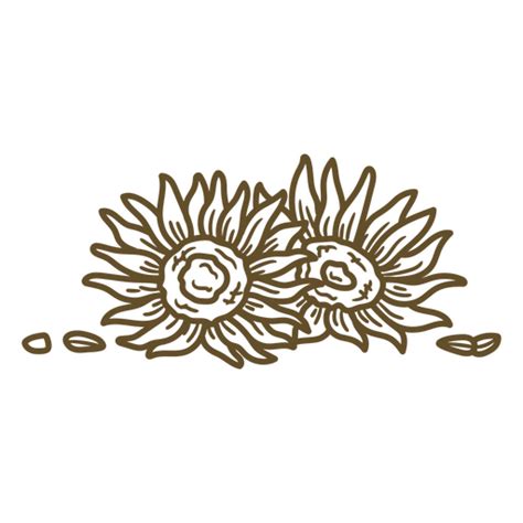 Two Sunflowers Hand Drawn Png And Svg Design For T Shirts