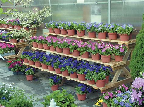 Tiered Garden Display And Step Benches Wood Display Products Step