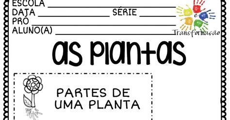 Atividade De Ciências Para Trabalhar As Partes Das Plantas E O Ciclo De Vida Siga Educação E