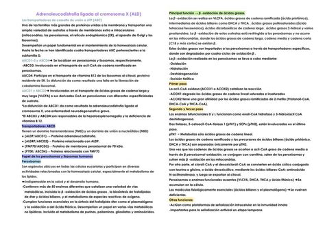 Adrenoleucodistrofia Ligada Al Cromosoma X Ald A Udocz