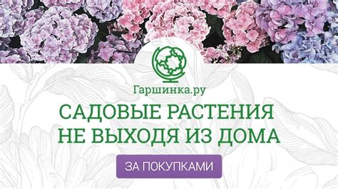 Гипермаркет садовых растений «Гаршинка» — это крупнейший интернет ...