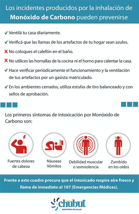 Provincia Recuerda Las Medidas Necesarias Para Prevenir Intoxicaciones