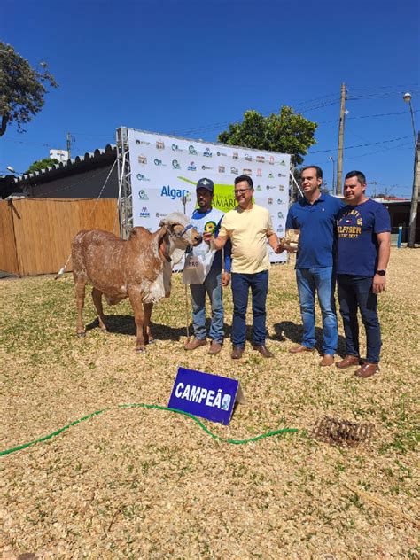 ABCGIL Associação Brasileira dos Criadores de Gir Leiteiro