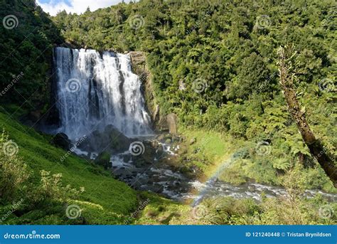 Marokopa Falls Waikato Stock Photo Image Of Forest 121240448