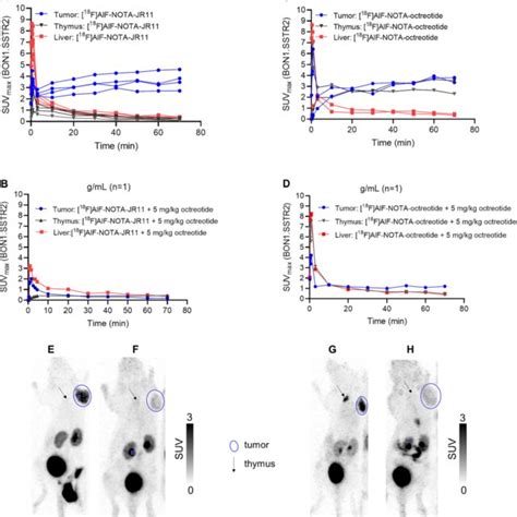 Cell Binding And Internalization Of 18 F AlF NOTA Octreotide And 18