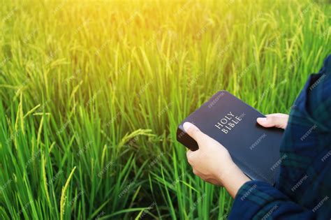 La Mujer Está Leyendo La Biblia Foto Premium