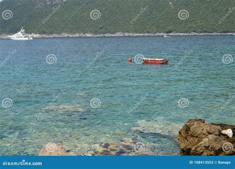 Barco Vermelho Dos Peixes No Mar Azul Imagem De Stock Imagem De