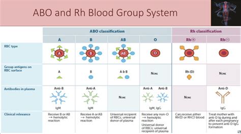 Physio Blood Types Transfusion Hemostasis Disorders Flashcards Quizlet