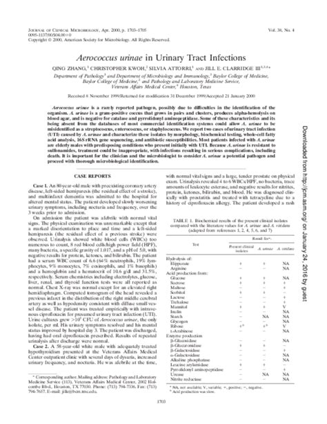 (PDF) Aerococcus urinae in Urinary Tract Infections | Silvia Attorri ...