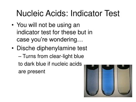 Nucleic Acid Test