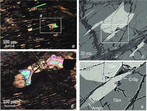 Deformed crystal of orthopyroxene with lamellae and neoblasts of ...