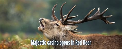 New Alberta Casino In Red Deer Opens To Acclaim