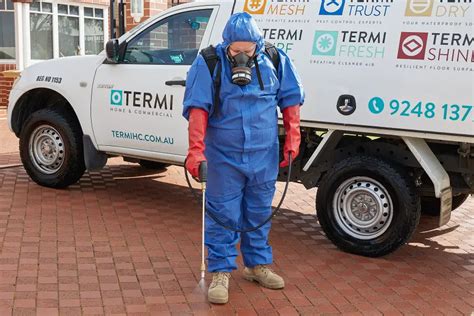 Signs Of Termites And White Ants Pest Control Termi Home And Commercial