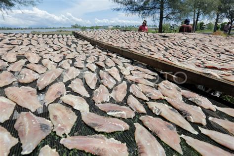 Industri Pengolahan Ikan Antara Foto