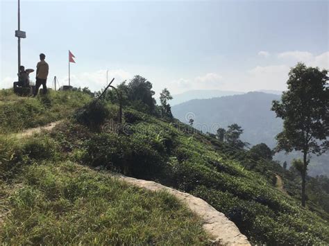 Tea Garden on Hill of Ilam of Nepal Editorial Photography - Image of ...