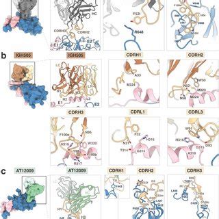 Cryoem Structure Of Hcv Envelope Glycoprotein E E Heterodimer In