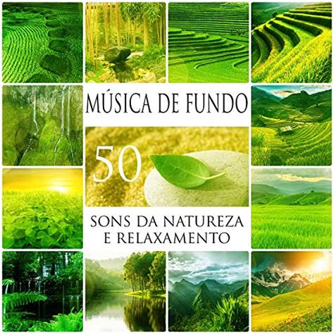 Amazon Music Academia De M Sica De Fundo E Ambiente M Sica De