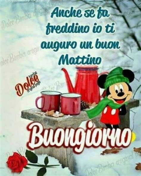 Buongiorno Fa Freddo