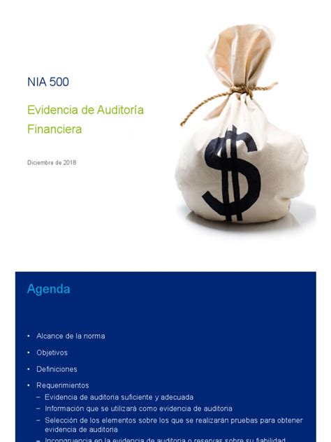 Nia 500 Evidencia De Auditoria Pdf Auditoría Contralor