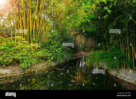 Park in Chengdu, China Stock Photo - Alamy