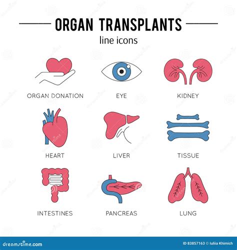 Organ Transplantation Icon Set Stock Vector Illustration Of Hospital