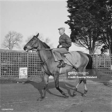 66 Arkle Racehorse Stock Photos, High-Res Pictures, and Images - Getty ...