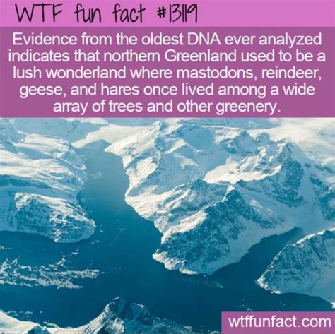 WTF Fun Fact Evidence From The Oldest DNA Ever Analyzed Indicates That