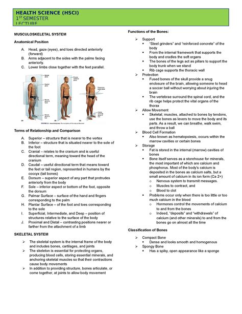 HSCI Lesson 4 Lecture Notes MUSCULOSKELETAL SYSTEM Anatomical