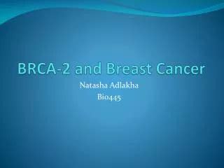 PPT The Importance Of Breast Cancer Survivor Support 2 PowerPoint