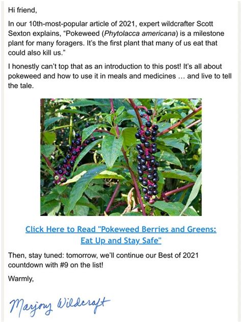 The Grow Network How To Eat Pokeweed Milled