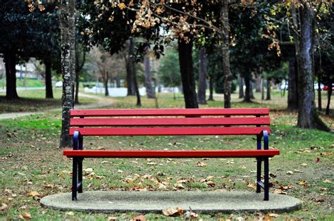 "Red Bench" by Christy Tidwell | Redbubble