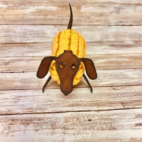 Dachshund Pumpkin Squash Vegetable Parts – Iron Owl