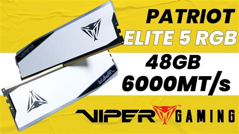 Patriot Viper 5 Elite DDR5 6000MHz YouTube