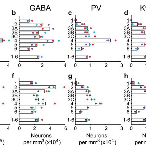 Density Distributions Of Cell Populations In V Ad And Mt Eh A