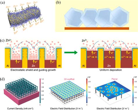 A The Schematic Illustrations Of Zn Deposition On CC CNT Electrodes