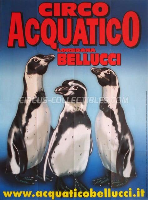 Circus Collectibles Circo Acquatico Bellucci Poster Learn More About