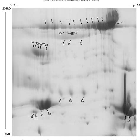 Figure 2 From Proteomic Analysis Of Secretion From Human Transplanted