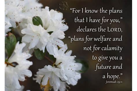 For I Know The Plans I Have For You Jeremiah 29 11 White Azalea P Aftcra