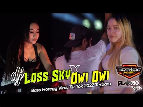 Dj Loss Sky X Owi Owi Bass Horegg Viral Tik Tok Terbaru Brewog