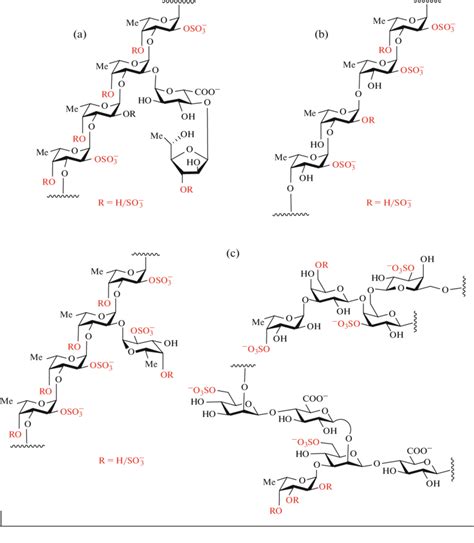 Examples Of Sulfated Polysaccharides Produced By Brown Algae A