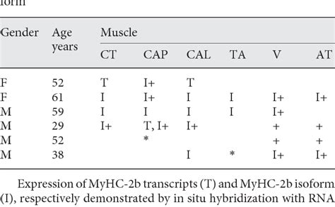 Table 1 From Myosin Heavy Chain 2b Transcripts And Isoform Are