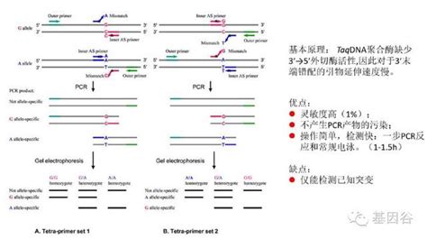 液體活檢系列—一文全面了解循環腫瘤dna（ctdna） 每日頭條