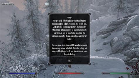 Skyrim Survival Mode Tips Tricks How To Survive Gameskinny