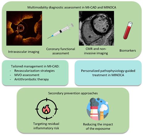 Jcm Free Full Text Precision Medicine In Acute Coronary Syndromes