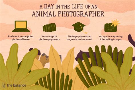 Animal Photographer Job Description: Salary, Skills, & More